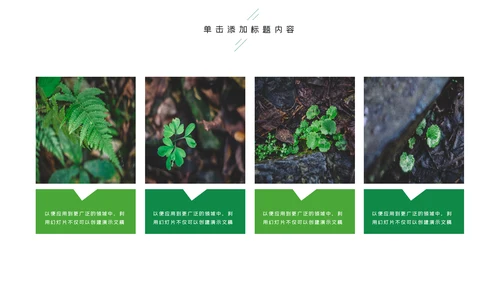 唯美绿色植物发芽植物生长敬畏生命PPT模板