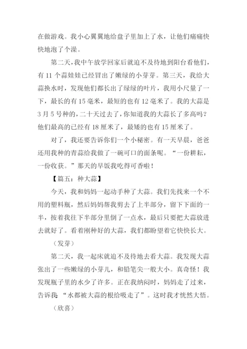 种大蒜观察日记.docx