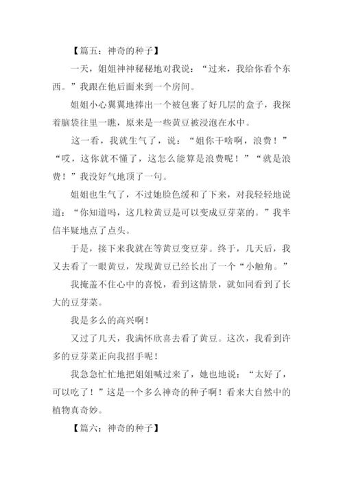 神奇的种子作文.docx