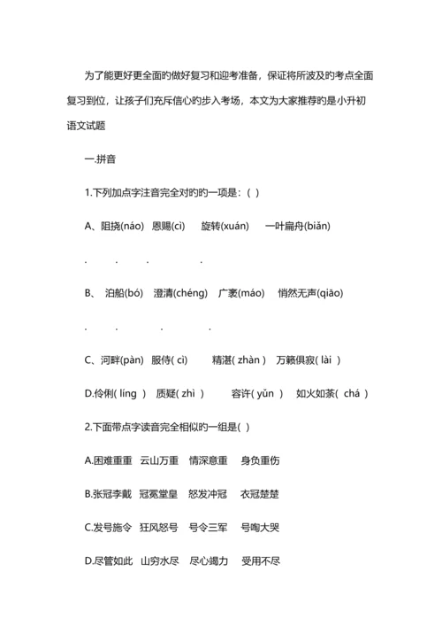 2023年小升初语文试题.docx