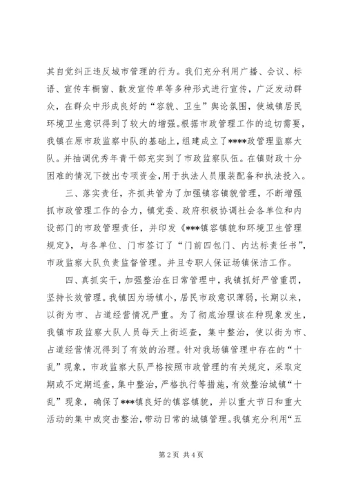 乡镇市政管理个人工作总结.docx