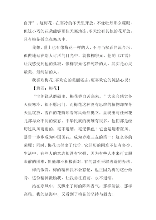 梅花作文300字三年级.docx