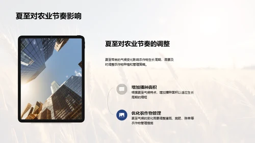 夏至农业策略
