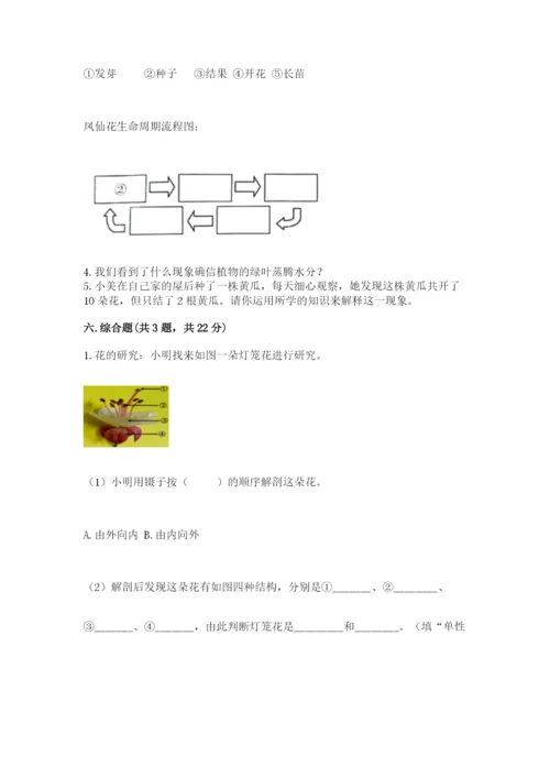 教科版科学四年级下册第一单元《植物的生长变化》测试卷参考答案.docx