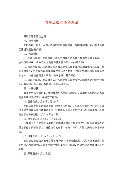 青年志愿者活动方案