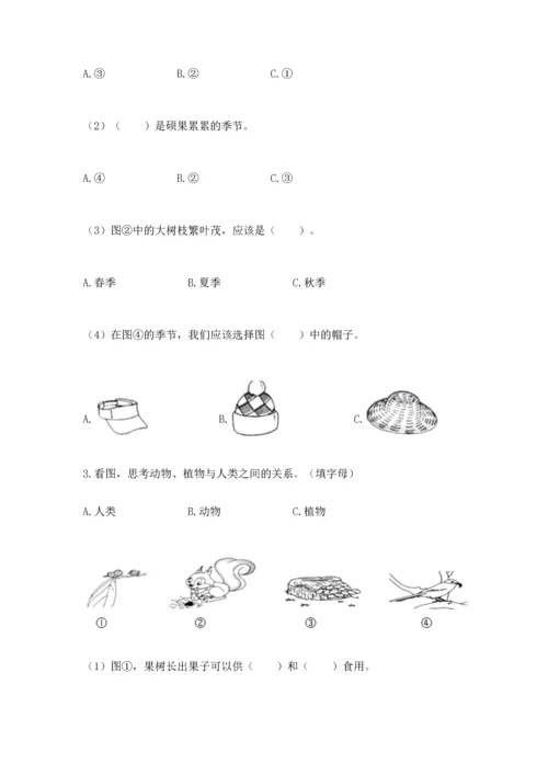 教科版二年级上册科学期末测试卷含答案（培优a卷）.docx