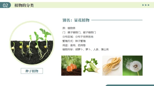 植物介绍笔记植物分类知识科普通用PPT模板
