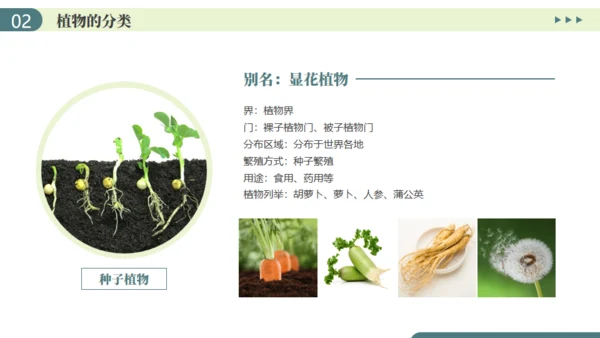 植物介绍笔记植物分类知识科普通用PPT模板