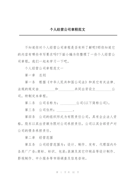 个人经营公司章程范文.docx