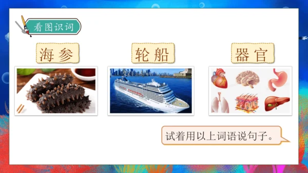 【核心素养】部编版语文三年级下册-23. 海底世界 第1课时（课件）
