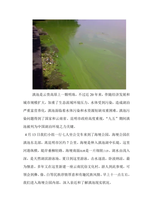滇池污染调查分析报告.docx