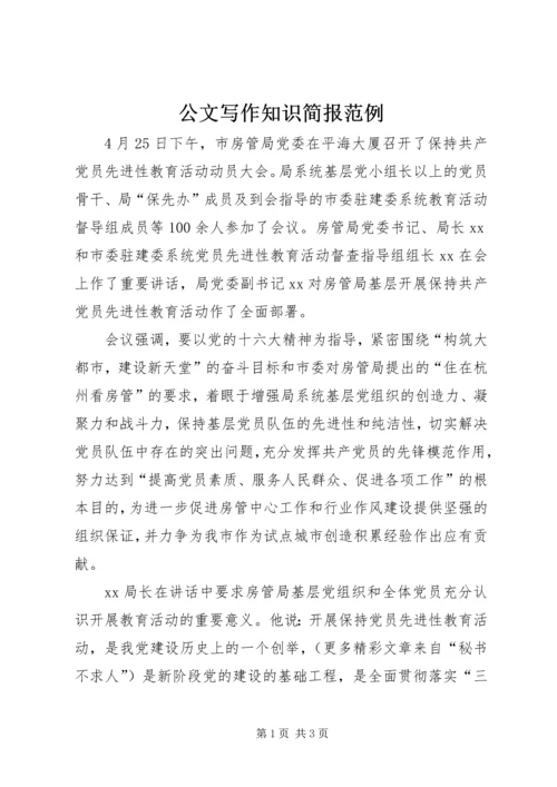公文写作知识简报范例.docx