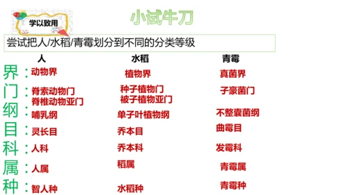 人教版生物七年级上册2.4.2《生物分类的方法——从种到界》课件(共26张PPT)