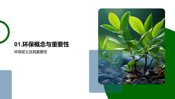 绿色小卫士行动计划
