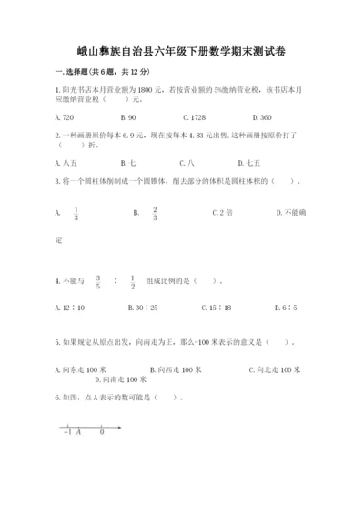 峨山彝族自治县六年级下册数学期末测试卷及完整答案一套.docx