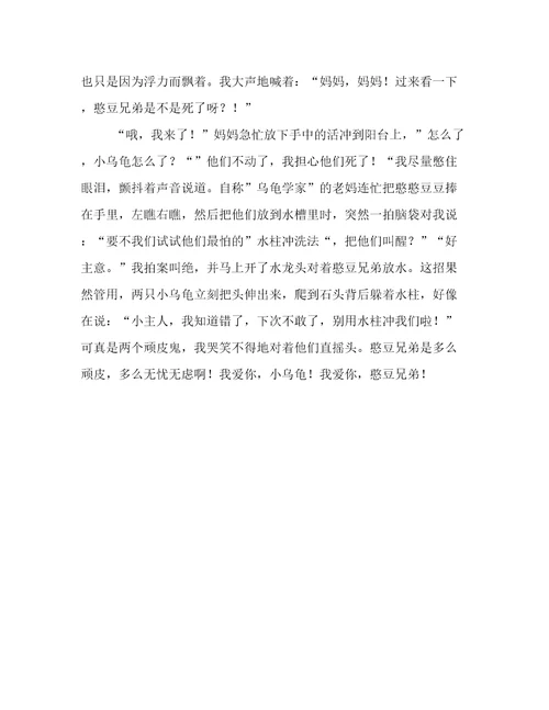 我爱你小乌龟初三800字作文