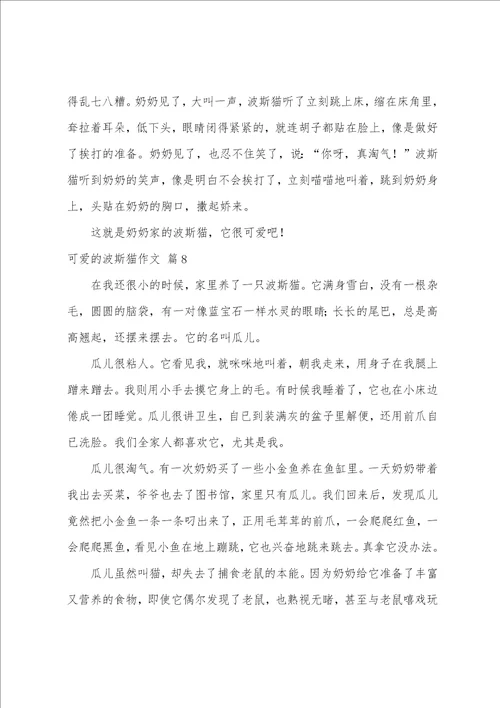 关于可爱的波斯猫作文合集8篇