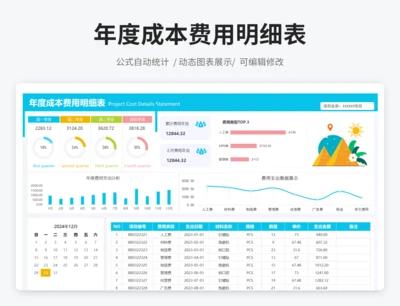 年度项目成本费用明细表