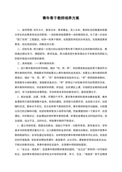 青年骨干教师培养方案.docx