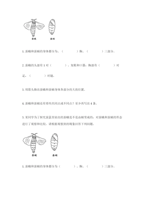 教科版科学三年级下册 期末测试卷精选.docx