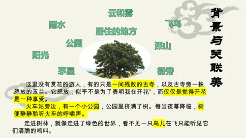 环境描写练习 (1)