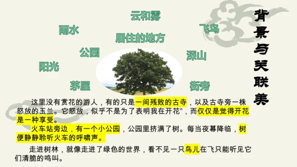 环境描写练习 (1)