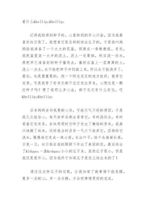 我收获了什么作文(精选16篇).docx