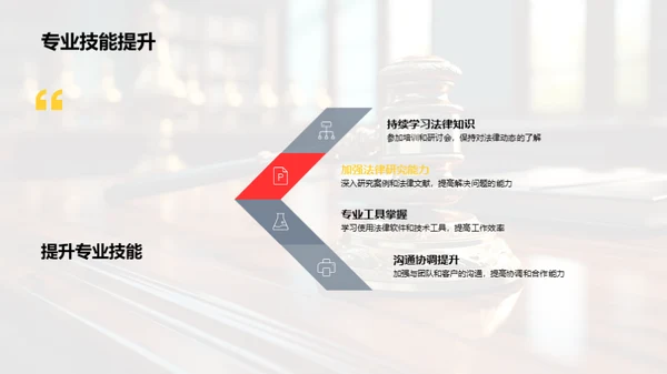 法律领域年度总结