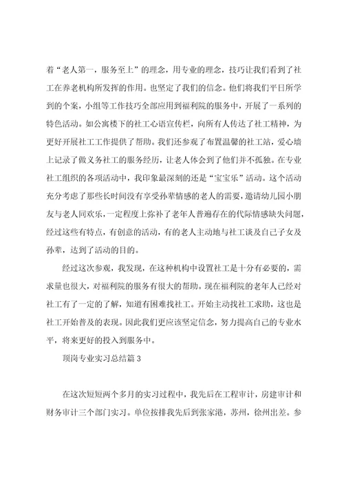 最新顶岗专业实习总结个人通用