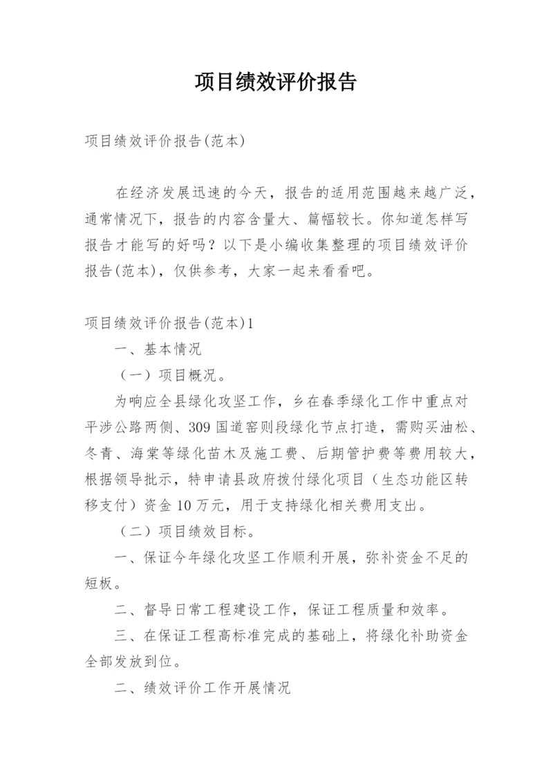 项目绩效评价报告.docx