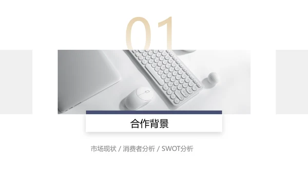 简约商务风企业营销渠道合作方案