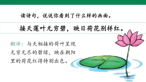 部编版二年级语文下册15古诗二首 晓出净慈寺送林子方 课件