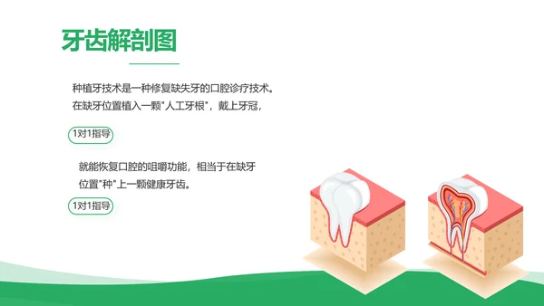 绿色简约牙科口腔工作总结动态PPT