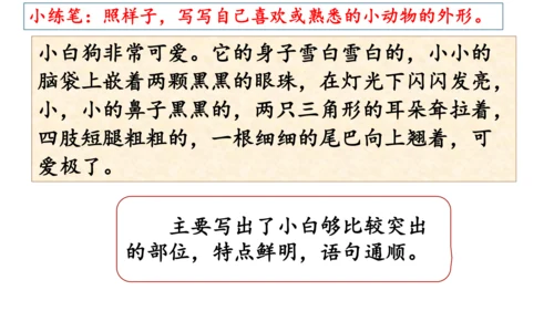 部编版三年级语文下册语文园地一  课件