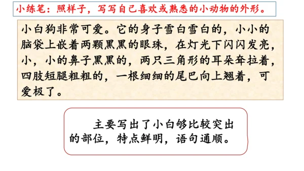部编版三年级语文下册语文园地一  课件
