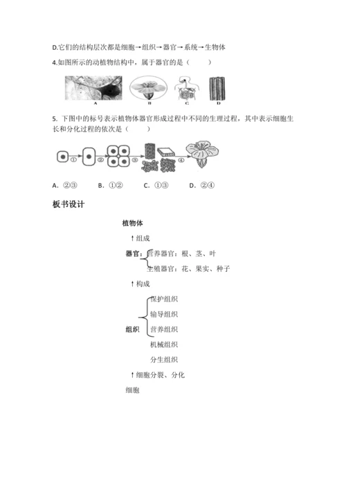 植物体结构层次教案
