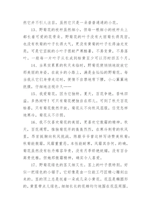 写菊花的优美句子.docx