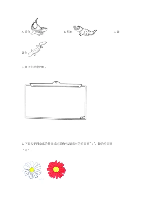 教科版一年级下册科学期末测试卷及参考答案【夺分金卷】.docx