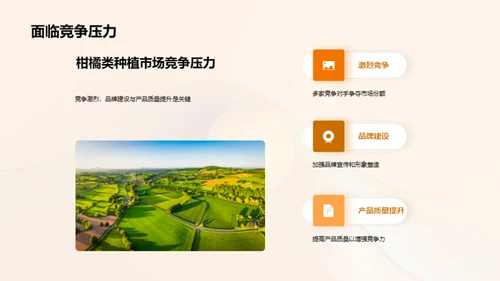 柑橘产业全景扫描