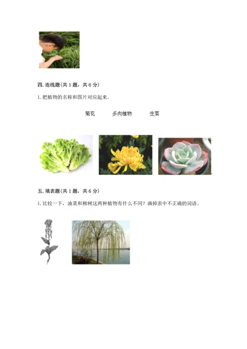 教科版一年级上册科学期末测试卷含答案解析.docx
