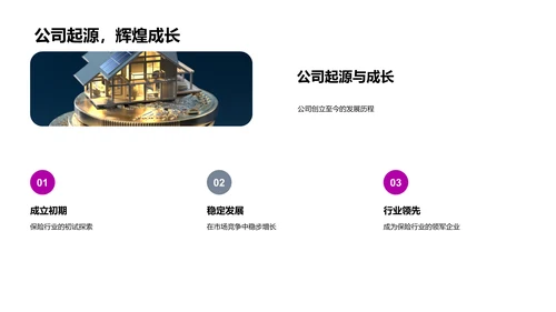 保险业发展与公司历程