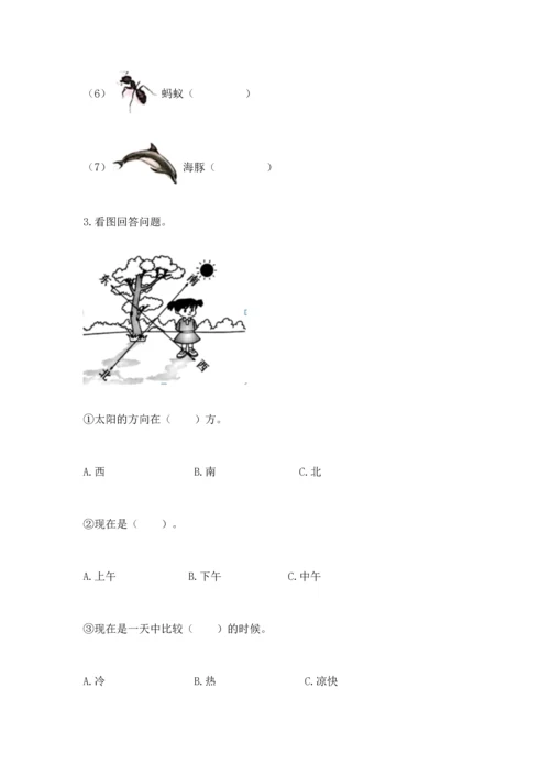 教科版科学二年级上册《期末测试卷》精品【名师系列】.docx