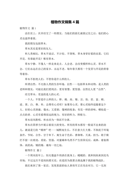 植物作文锦集4篇.docx