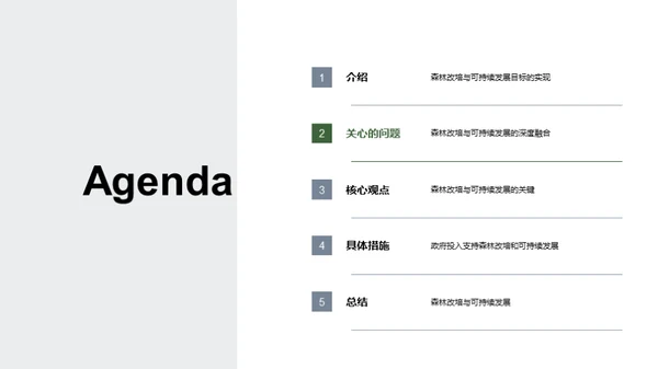 森林改培：绿色未来
