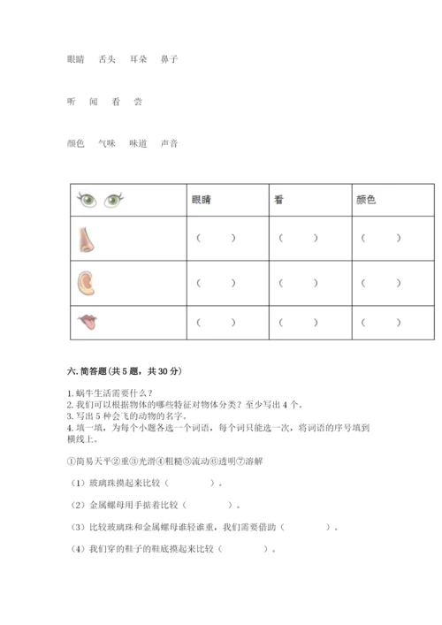 教科版小学科学一年级下册期末测试卷（考点精练）.docx