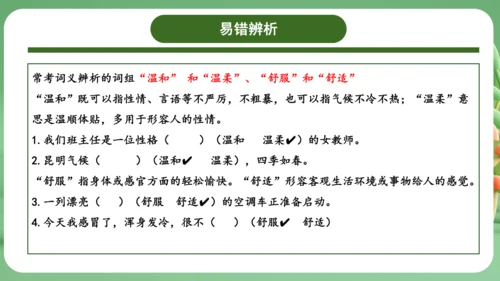 统编版2024三年级语文上册第三单元复习   课件