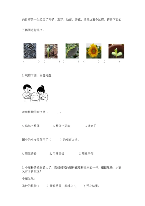教科版科学一年级上册第一单元《植物》测试卷（能力提升）word版.docx