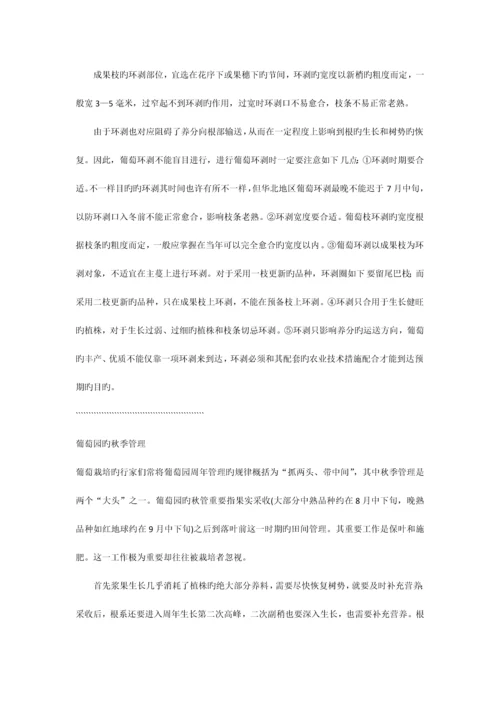 葡萄各阶段管理技术.docx