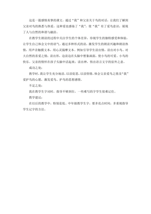 23.父亲、树林和鸟