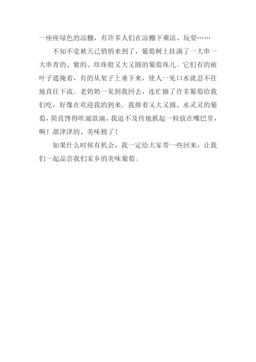 我爱家乡的葡萄作文.docx